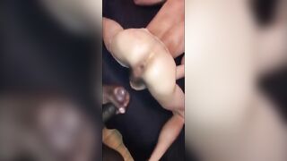 Black Sans a condom Possessor Breeds