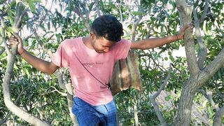 Agriculture Woods Mango tree Assfucker Romantic flick in Hindi language