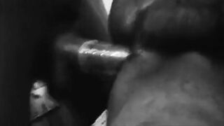 Huge Asian Cock from Sri Lanka