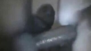 Huge-Dicked French Arab Barebacks a Slut5555