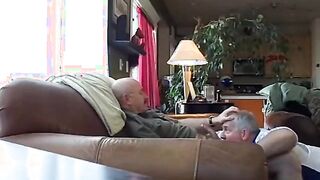 Silver Fox Servicer7777