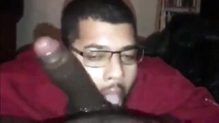 Big Black Cock Blowjob by Amateur Dick Gobbler