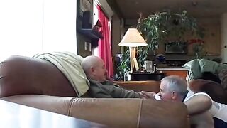 Silver Fox Servicerwe3