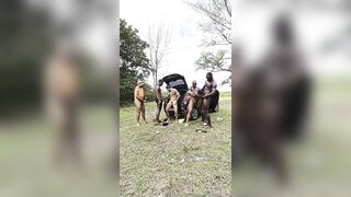 Matteus and friends in a dicknic