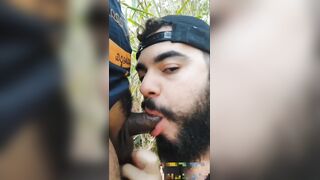 Adventures in the forest