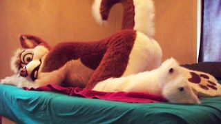 Fursuits Backsides