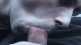 Daddy's Emo Blowjob Before You Go