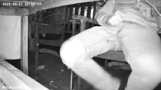 Amateur fellow caught on night vision webcam urinating himself sitting at the garden table (he downright wets his trousers) )