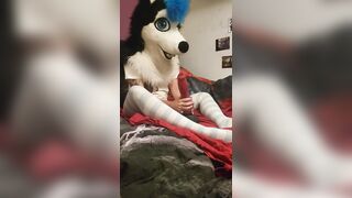 Husky Gets Torn up by a Bad Dragon Rex XL