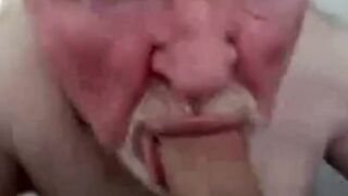 Amateur Daddy Bear Sucks Cock45fg